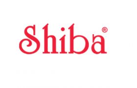 shiba